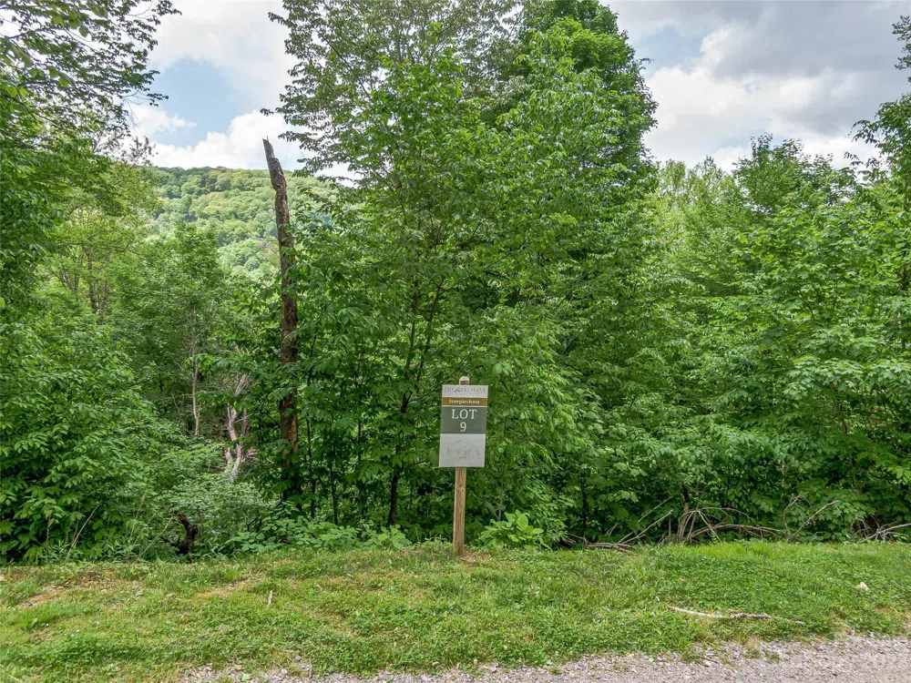 Lot 9 Mountain Gait Drive Mars Hill, NC 28754