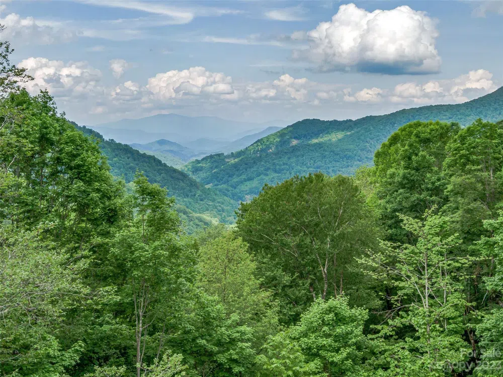 Lot 9 Mountain Gait Drive Mars Hill, NC 28754