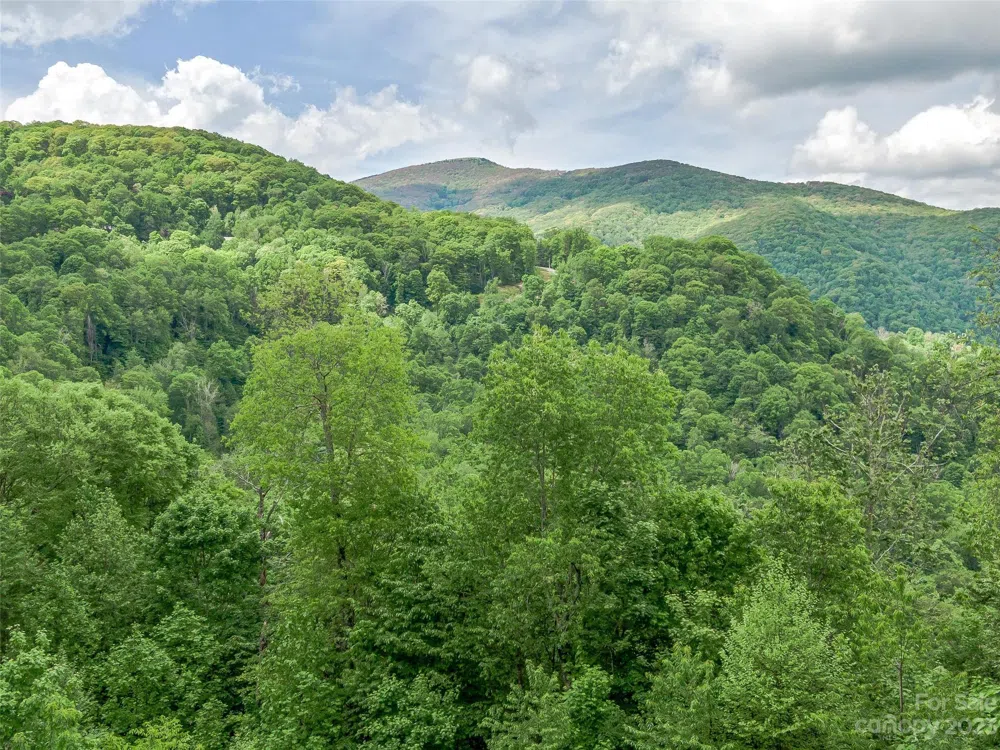 Lot 9 Mountain Gait Drive Mars Hill, NC 28754