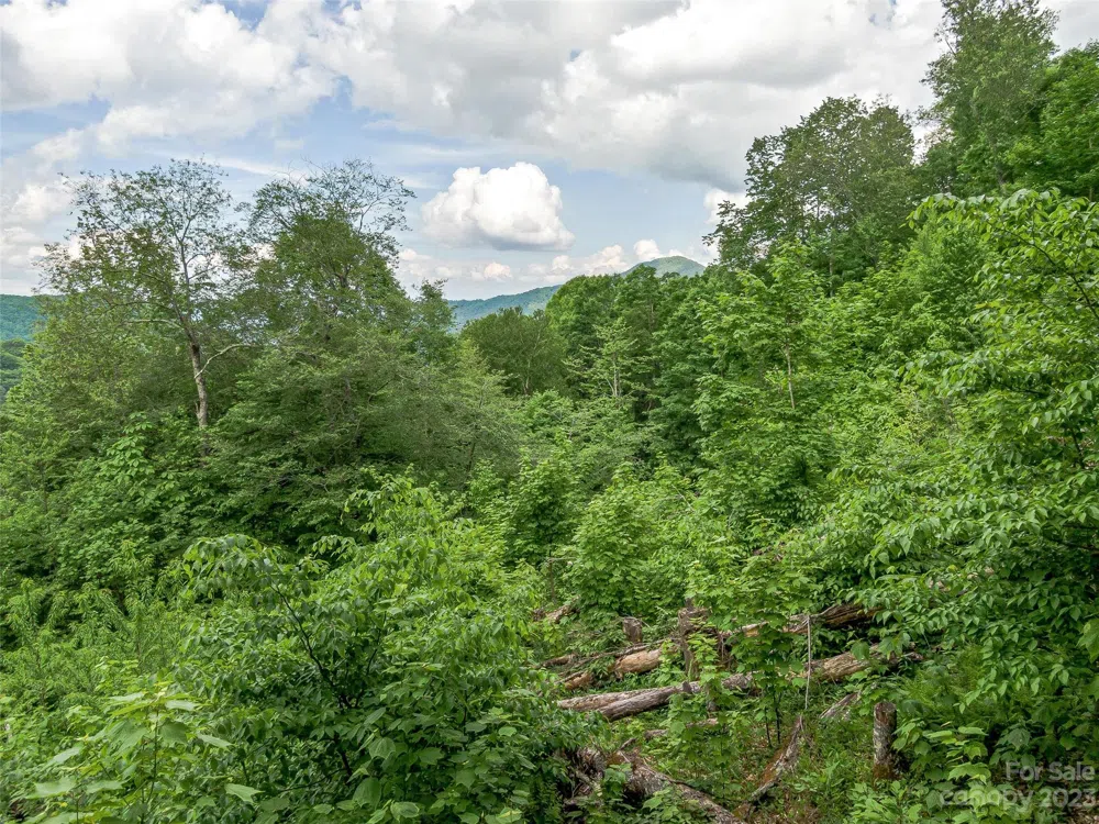 Lot 9 Mountain Gait Drive Mars Hill, NC 28754