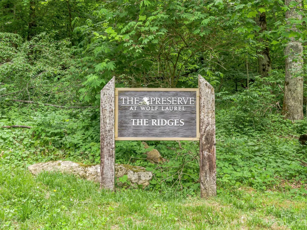 Lot 9 Mountain Gait Drive Mars Hill, NC 28754