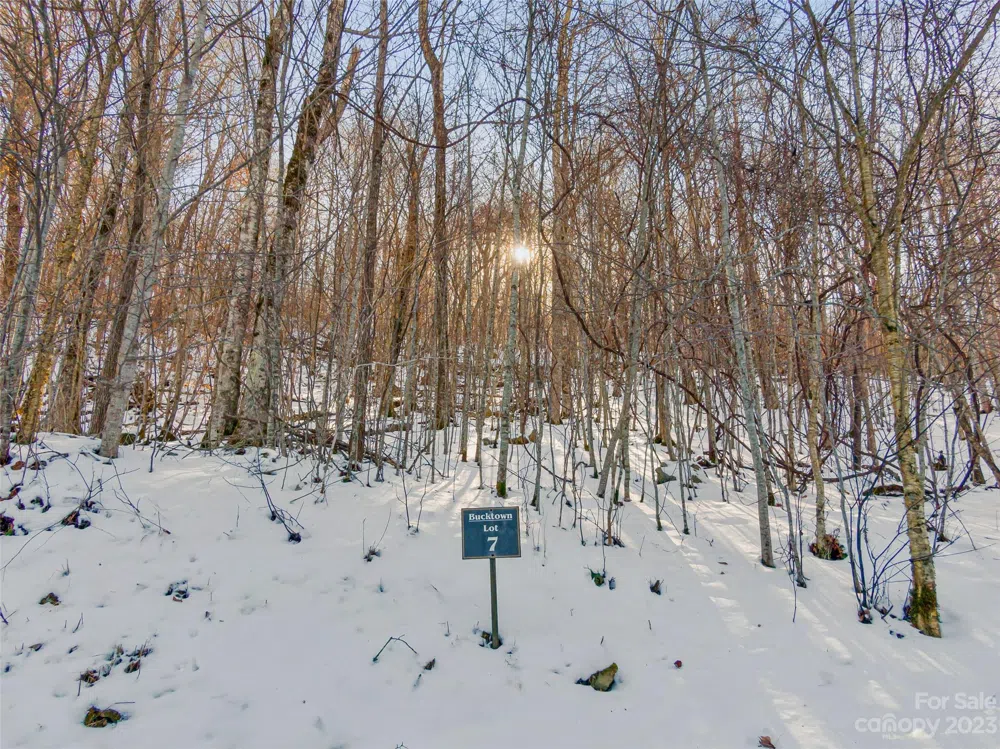 Lot 7 Hadleigh Pearl Way Mars Hill, NC 28754