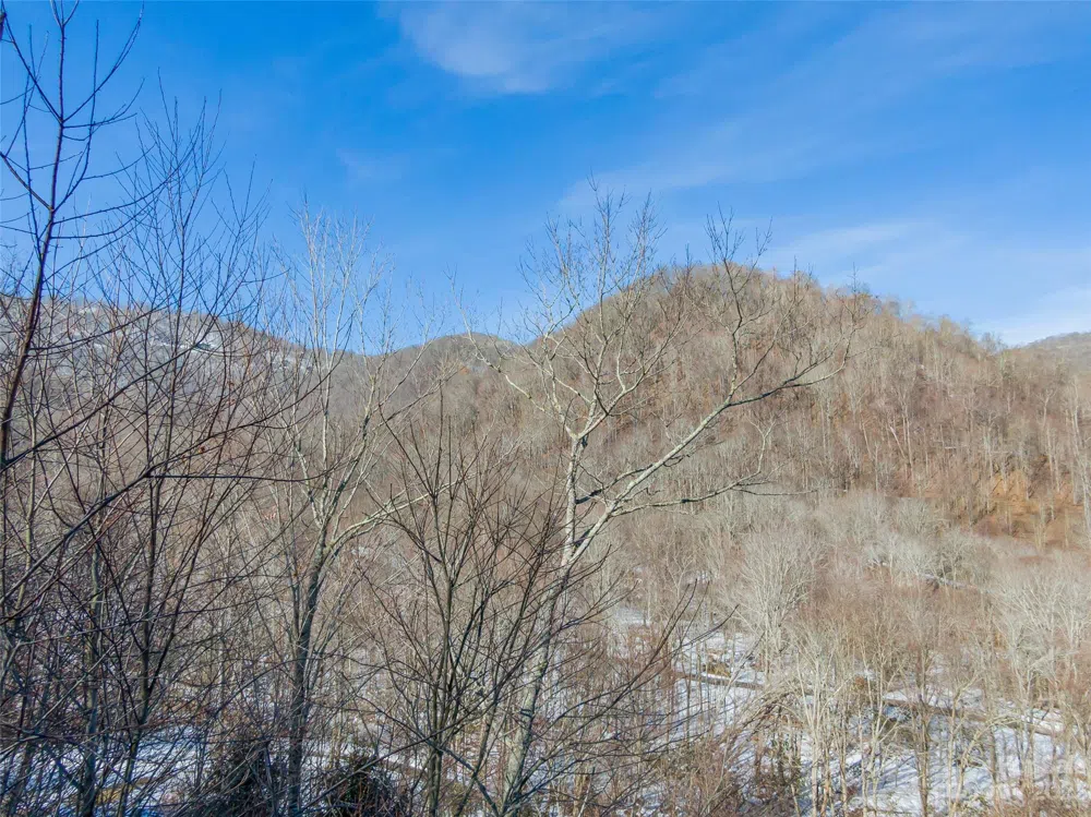 Lot 7 Hadleigh Pearl Way Mars Hill, NC 28754