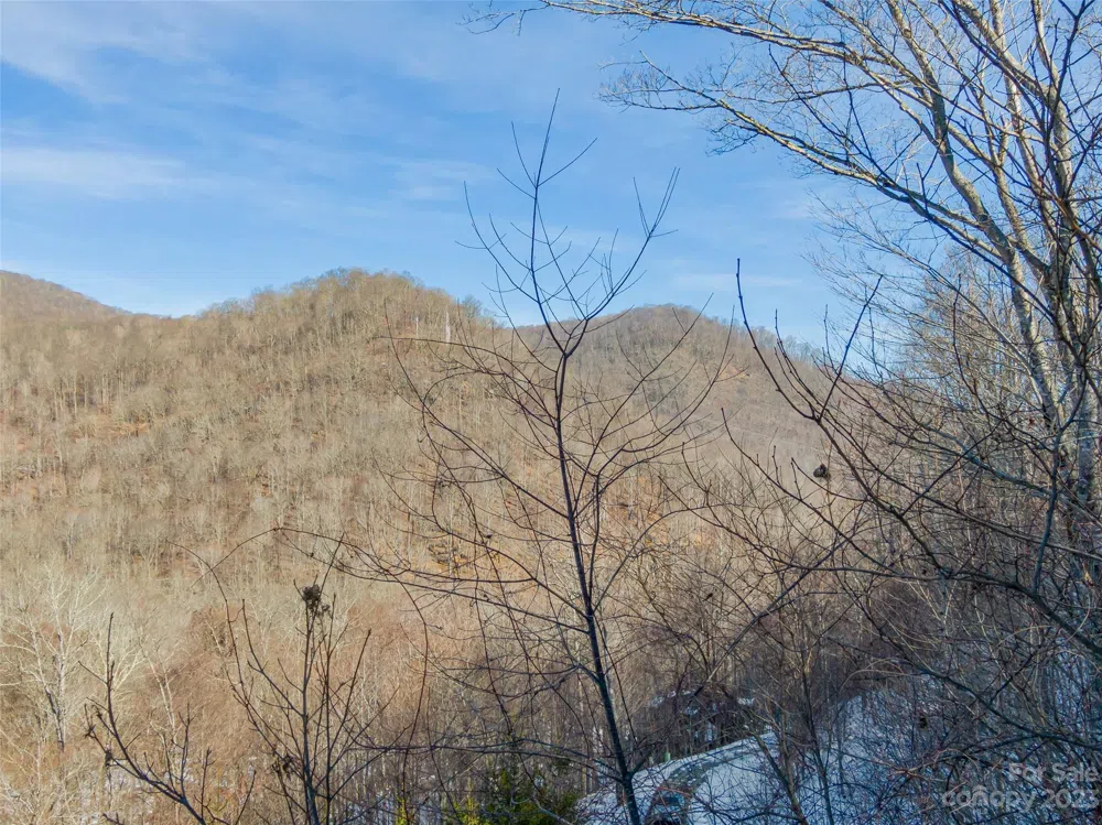 Lot 7 Hadleigh Pearl Way Mars Hill, NC 28754
