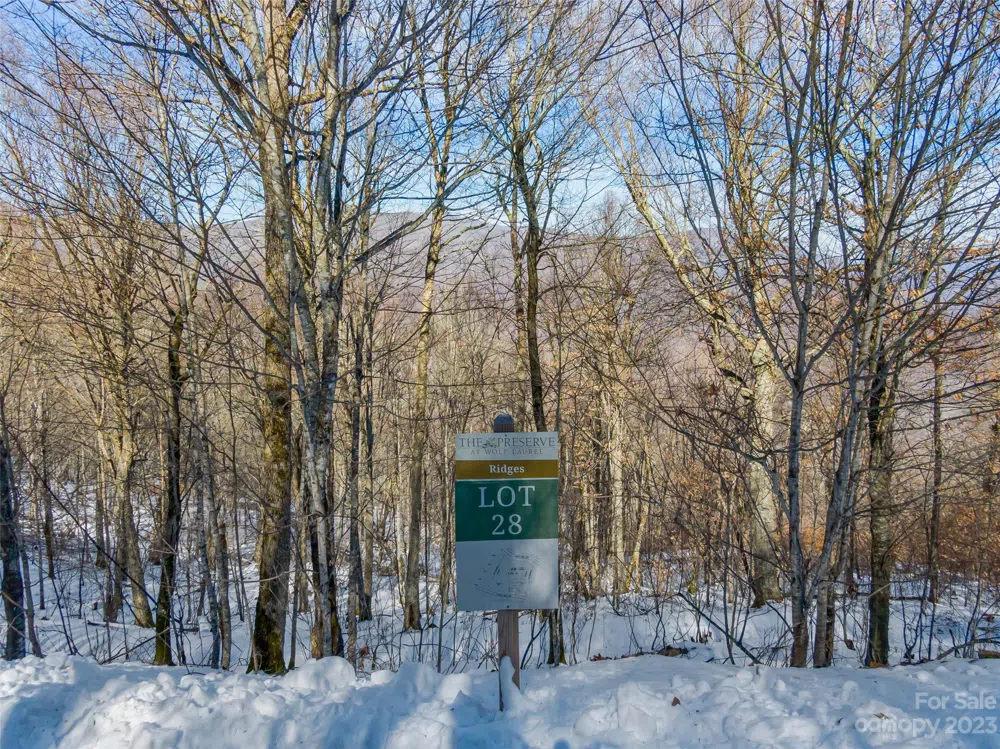 Lot 28 Black Bear Run Mars Hill, NC 28754