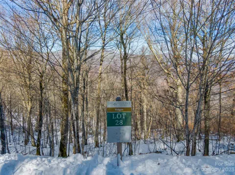 Lot 28 Black Bear Run