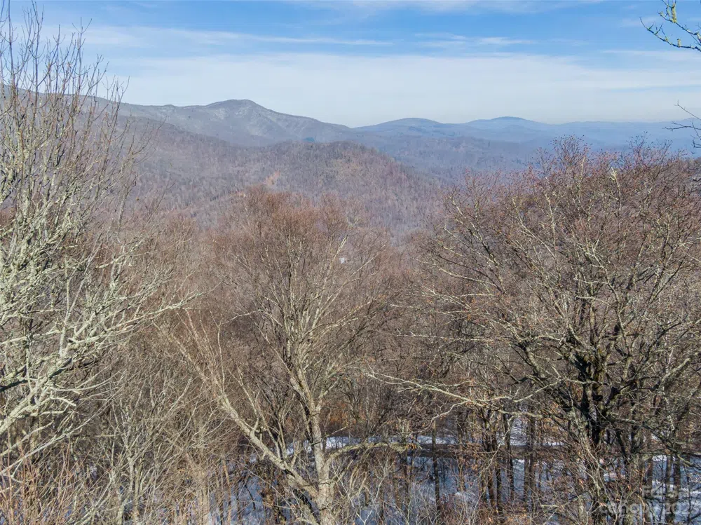 Lot 28 Black Bear Run Mars Hill, NC 28754