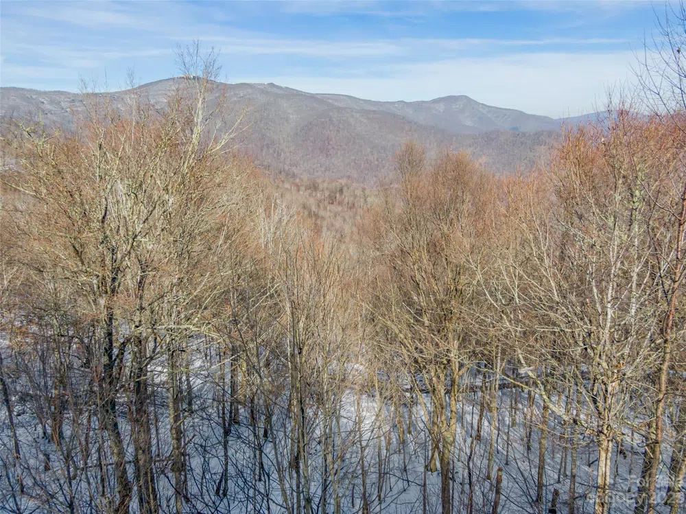 Lot 28 Black Bear Run Mars Hill, NC 28754