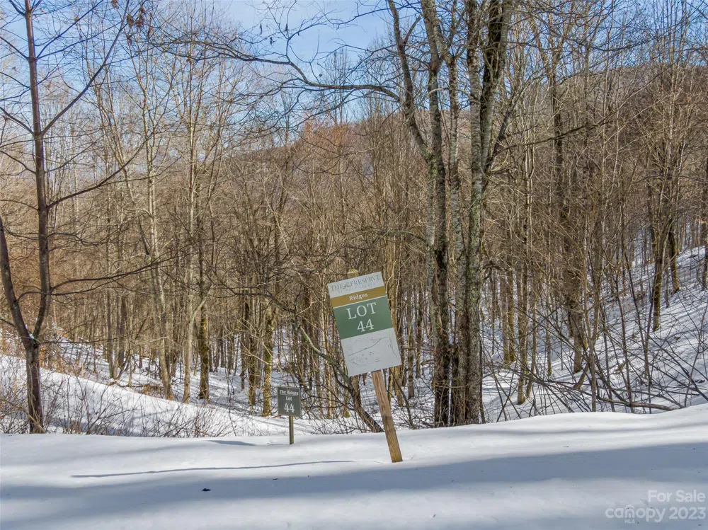 Lot 44 Black Bear Run Mars Hill, NC 28754