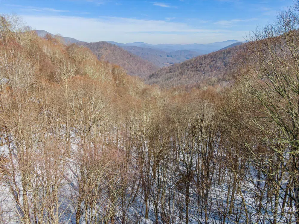 Lot 44 Black Bear Run Mars Hill, NC 28754