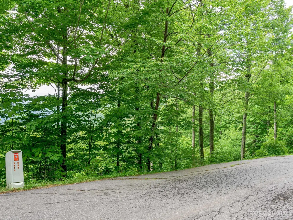 Lot 27 Black Bear Run Mars Hill, NC 28754