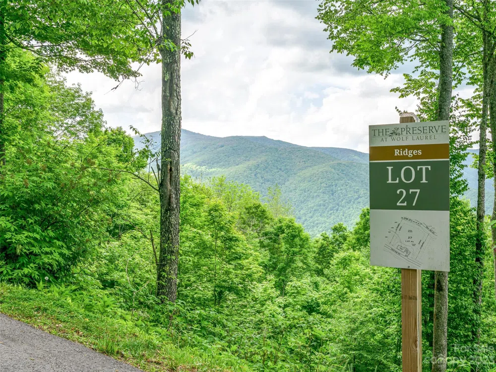 Lot 27 Black Bear Run Mars Hill, NC 28754
