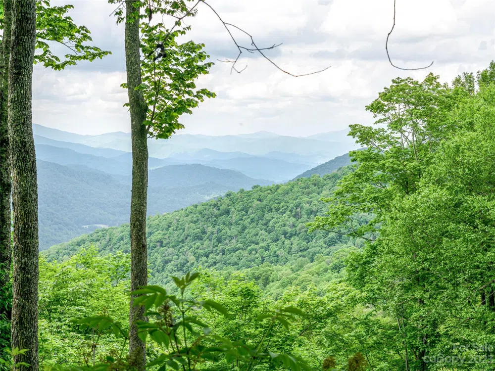 Lot 27 Black Bear Run Mars Hill, NC 28754