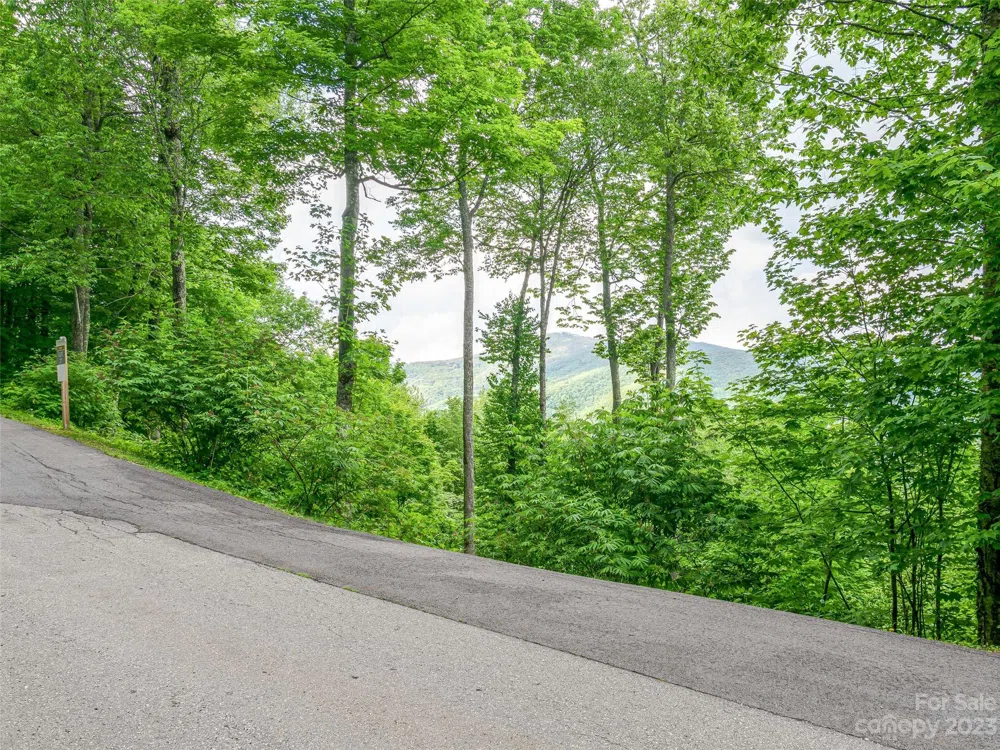 Lot 27 Black Bear Run Mars Hill, NC 28754