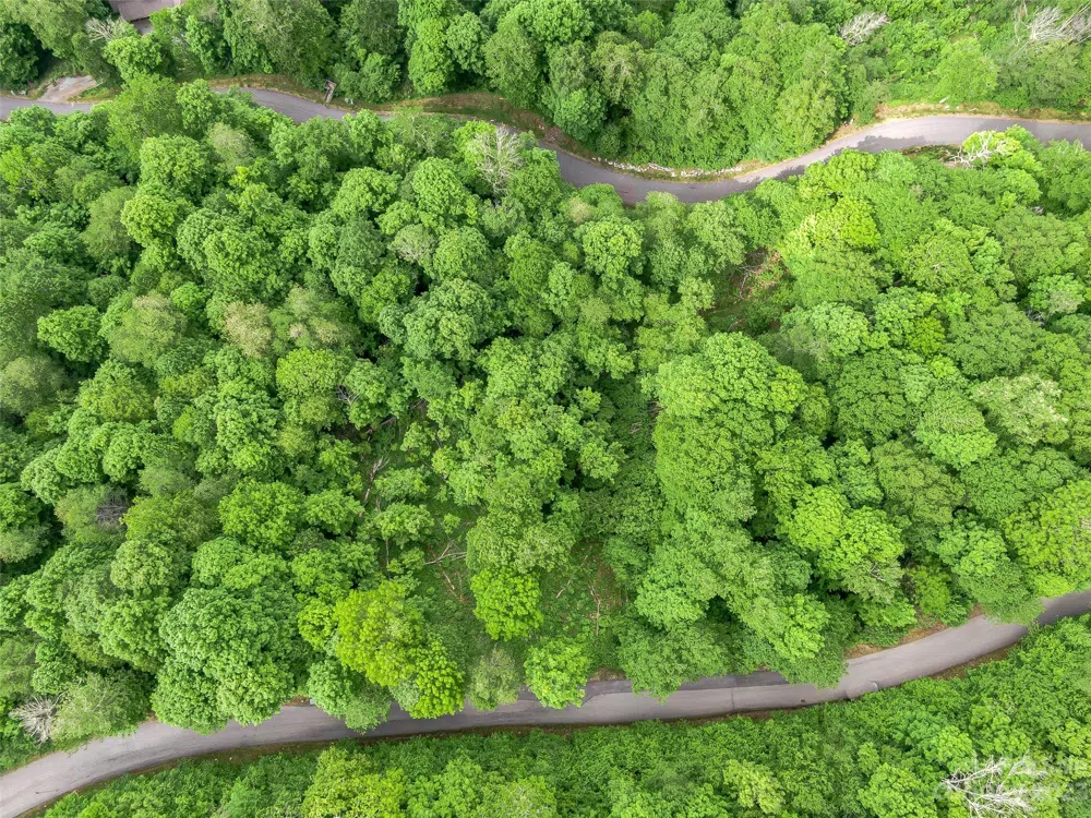 Lot 27 Black Bear Run Mars Hill, NC 28754