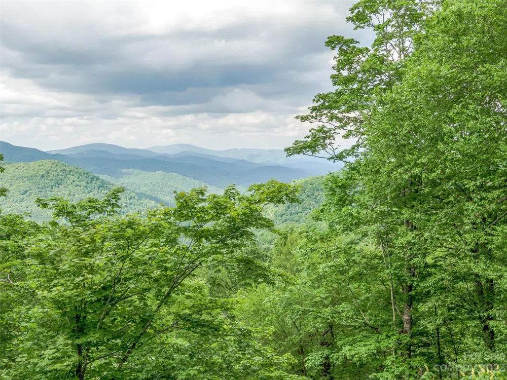 Lot 27 Black Bear Run Mars Hill, NC 28754