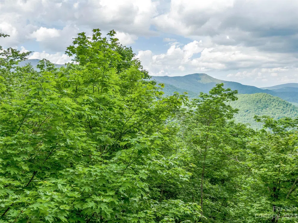 Lot 27 Black Bear Run Mars Hill, NC 28754