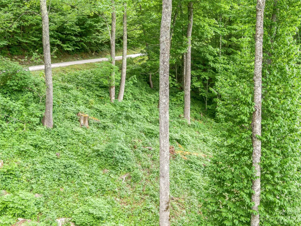 Lot 27 Black Bear Run Mars Hill, NC 28754