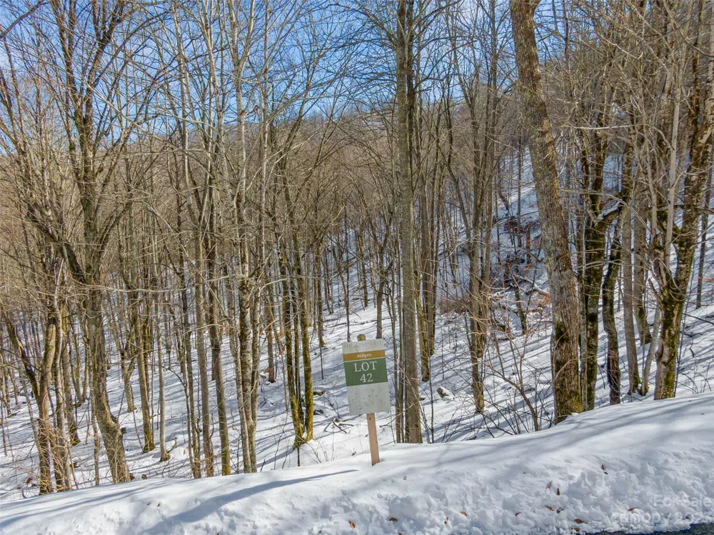 Lot 42 Black Bear Run Mars Hill, NC 28754