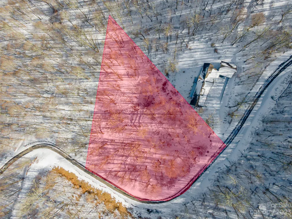 Lot 42 Black Bear Run Mars Hill, NC 28754