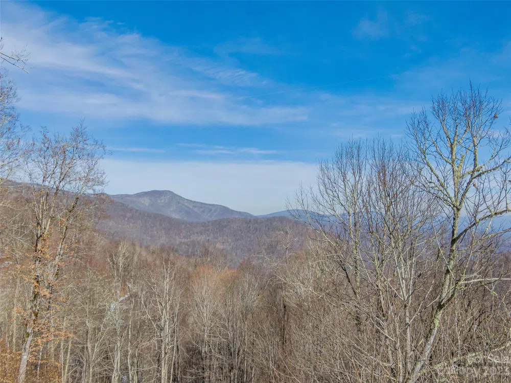 Lot 42 Black Bear Run Mars Hill, NC 28754
