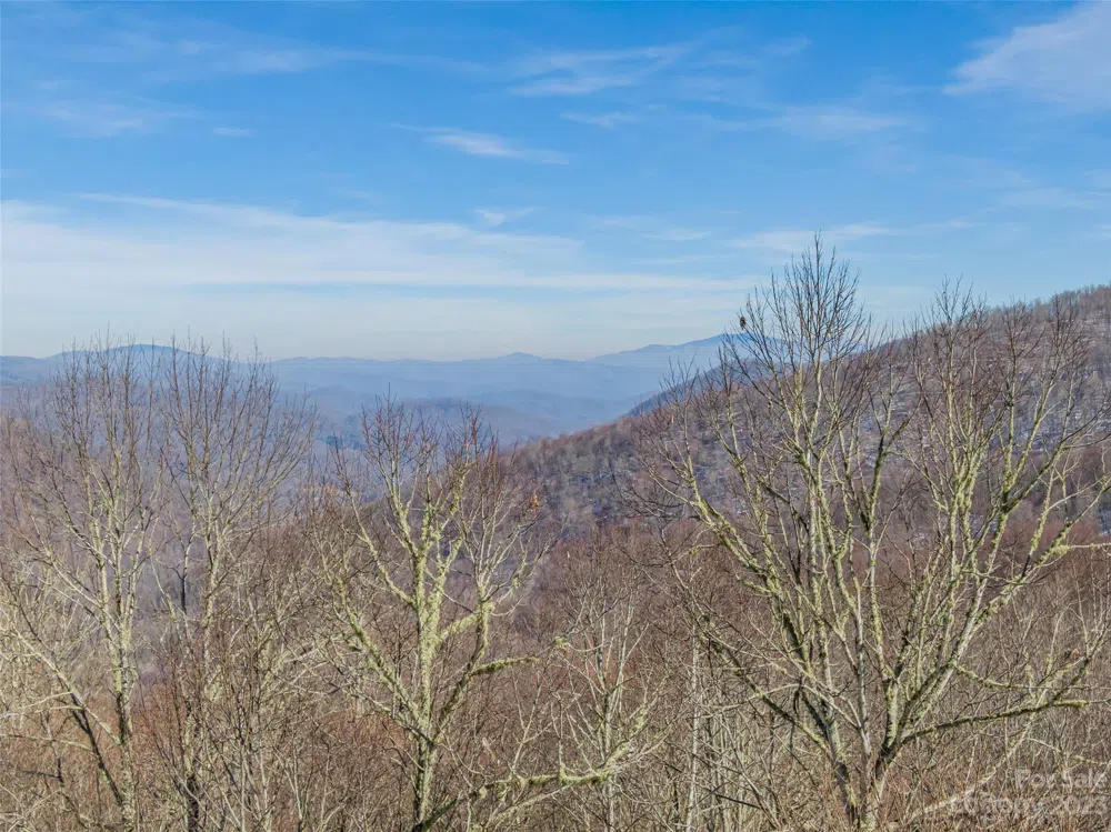 Lot 42 Black Bear Run Mars Hill, NC 28754