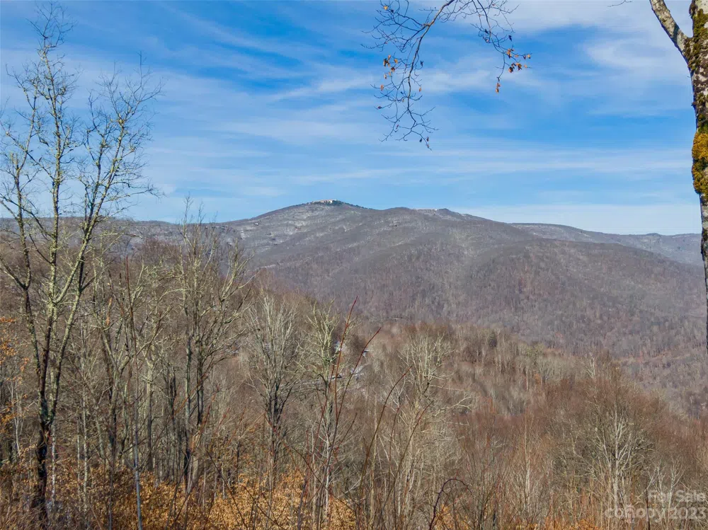 Lot 38 Black Bear Run Mars Hill, NC 28754