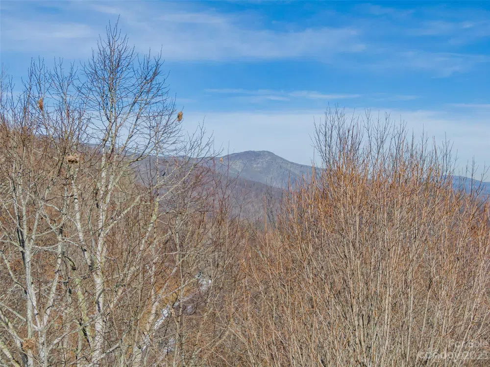 Lot 43 Black Bear Run Mars Hill, NC 28754