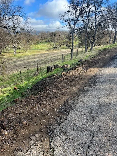 Bobcat Ct