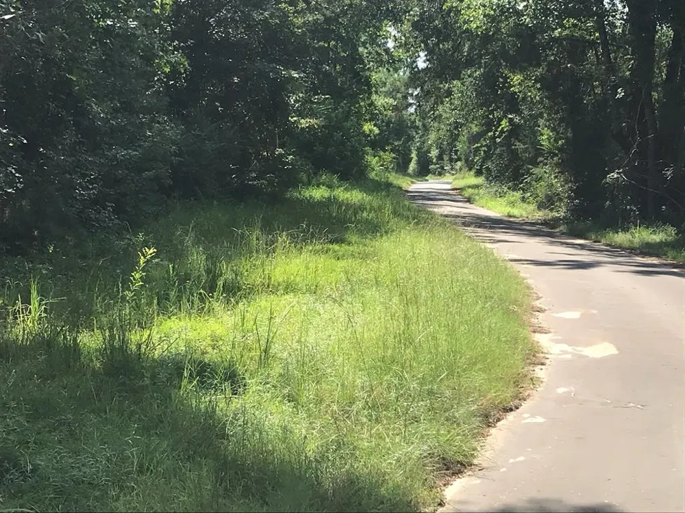 S Hwy 59 Highway Linden, TX 75563