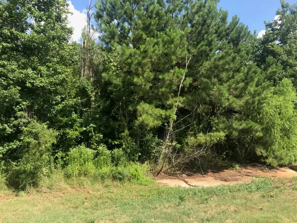 S Hwy 59 Highway Linden, TX 75563