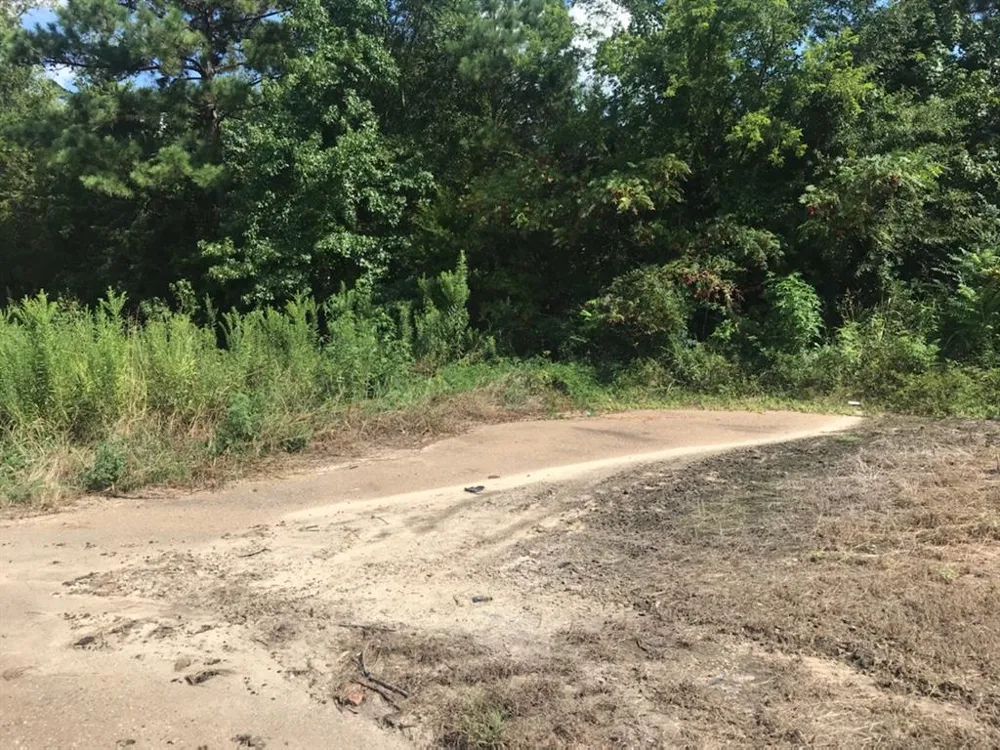 S Hwy 59 Highway Linden, TX 75563