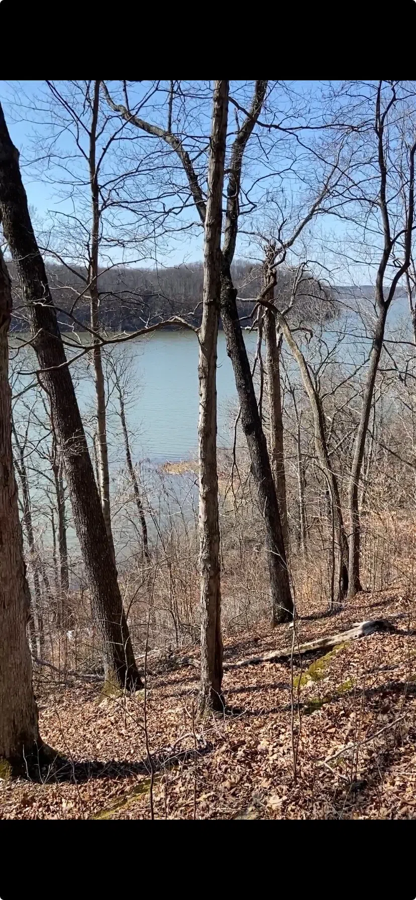 0 Hurricane Creek Road Stewart, TN 37175