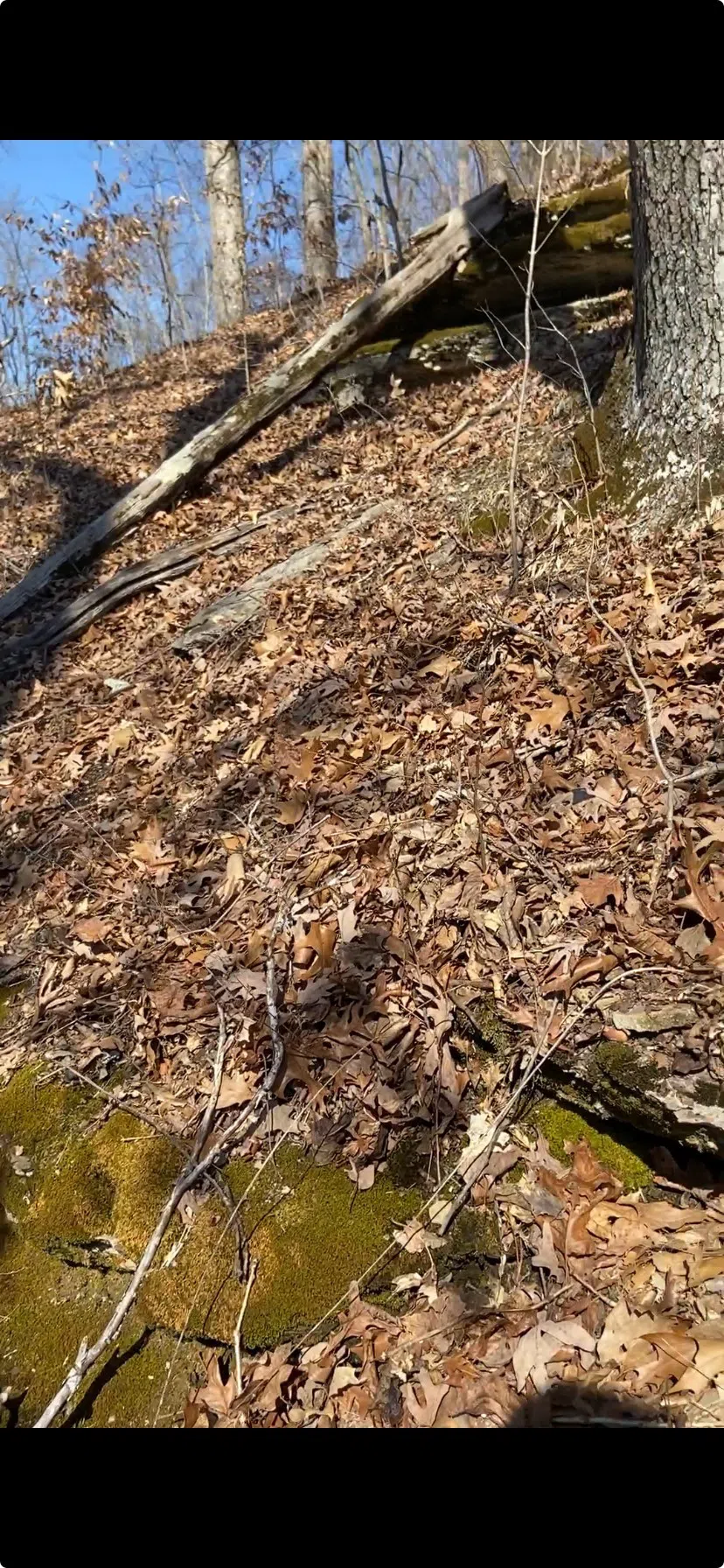 0 Hurricane Creek Road Stewart, TN 37175