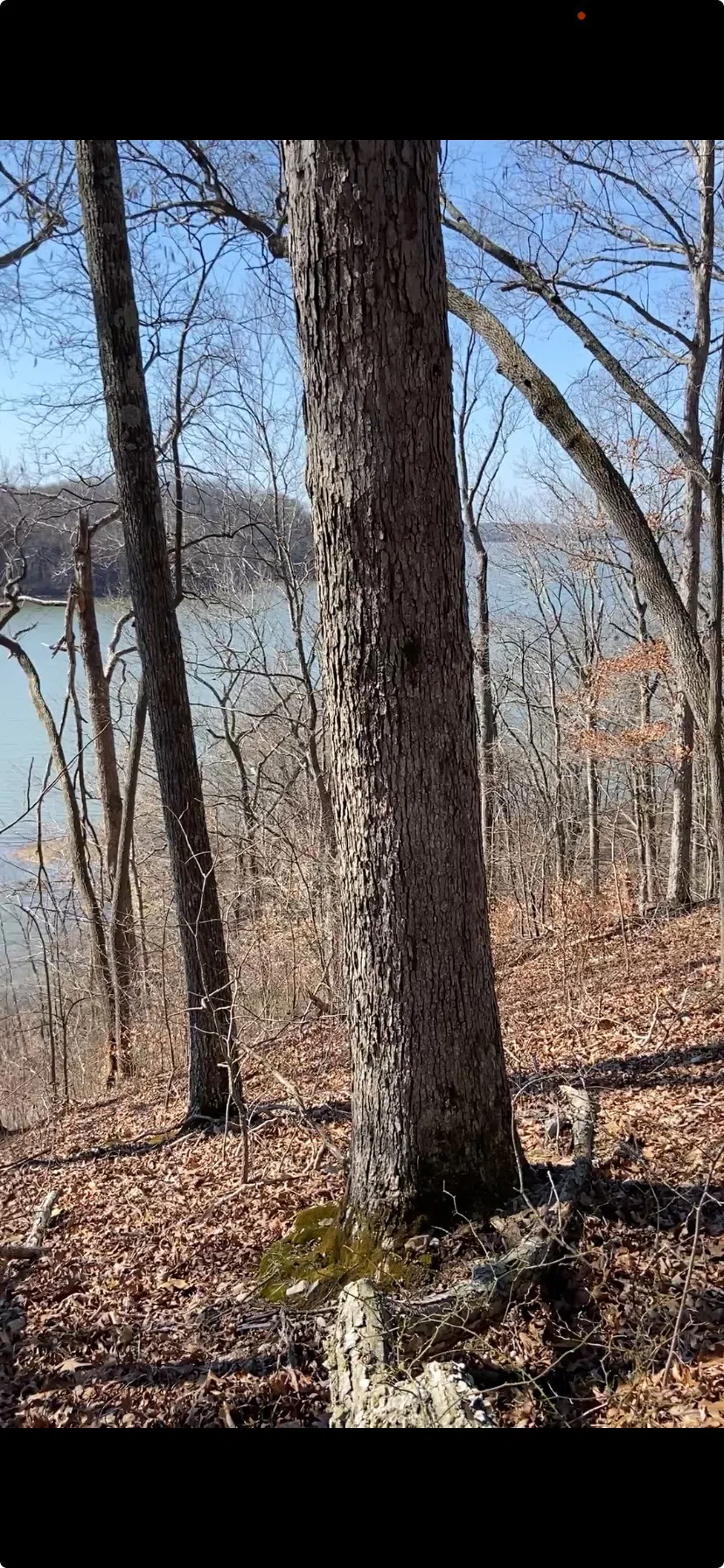 0 Hurricane Creek Road Stewart, TN 37175