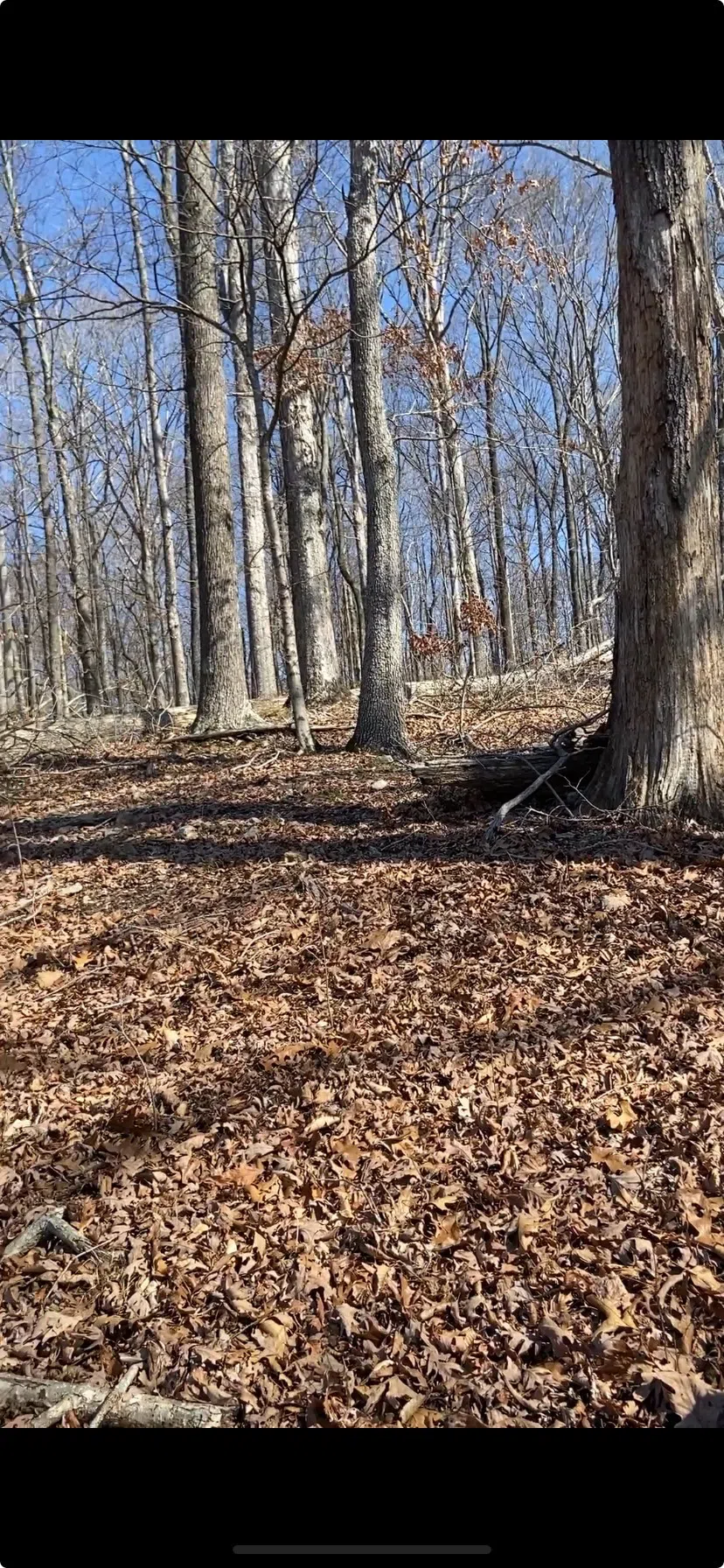 0 Hurricane Creek Road Stewart, TN 37175
