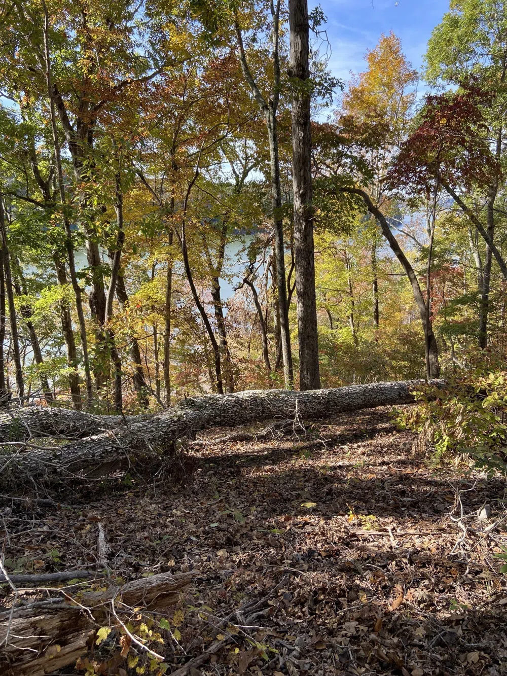 0 Hurricane Creek Road Stewart, TN 37175