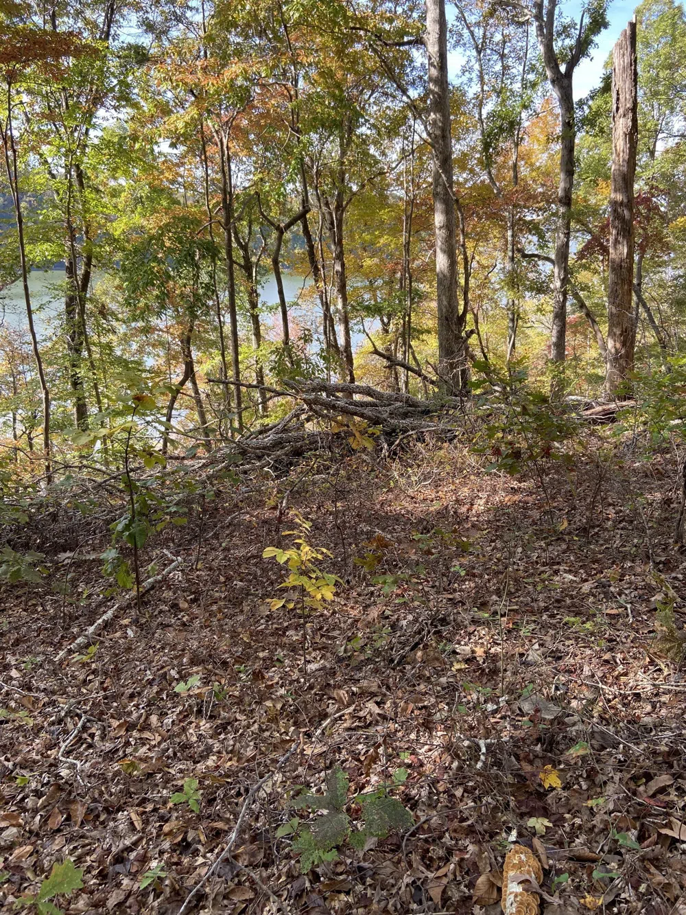 0 Hurricane Creek Road Stewart, TN 37175