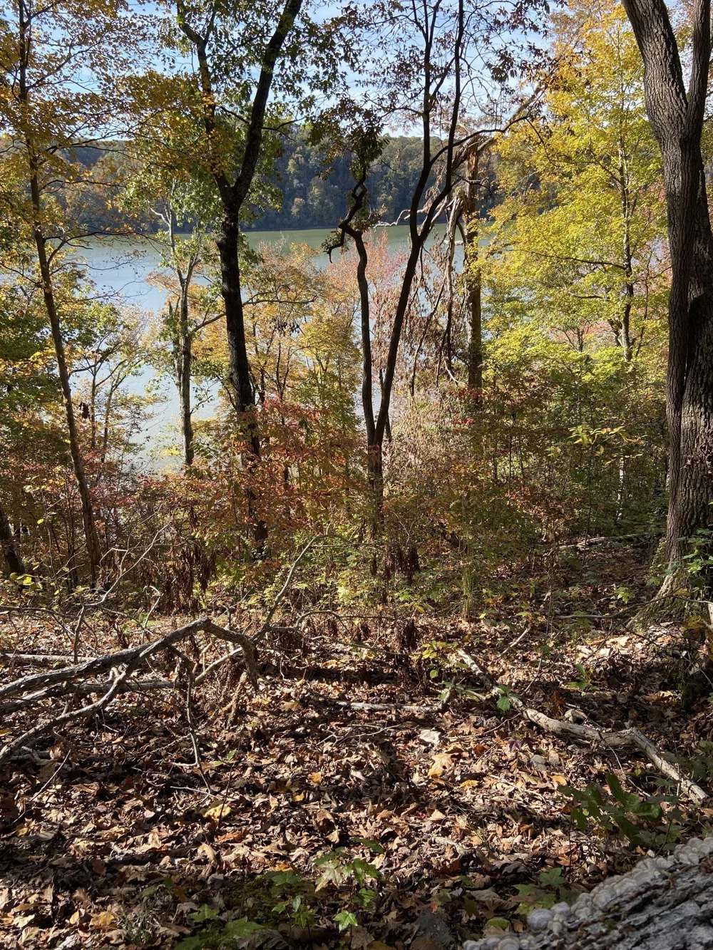 0 Hurricane Creek Road Stewart, TN 37175