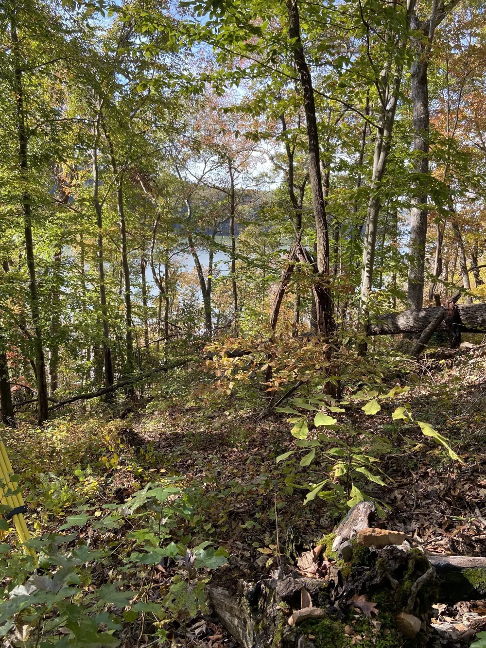 0 Hurricane Creek Road Stewart, TN 37175
