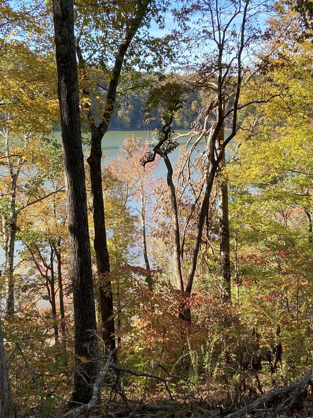 0 Hurricane Creek Road Stewart, TN 37175