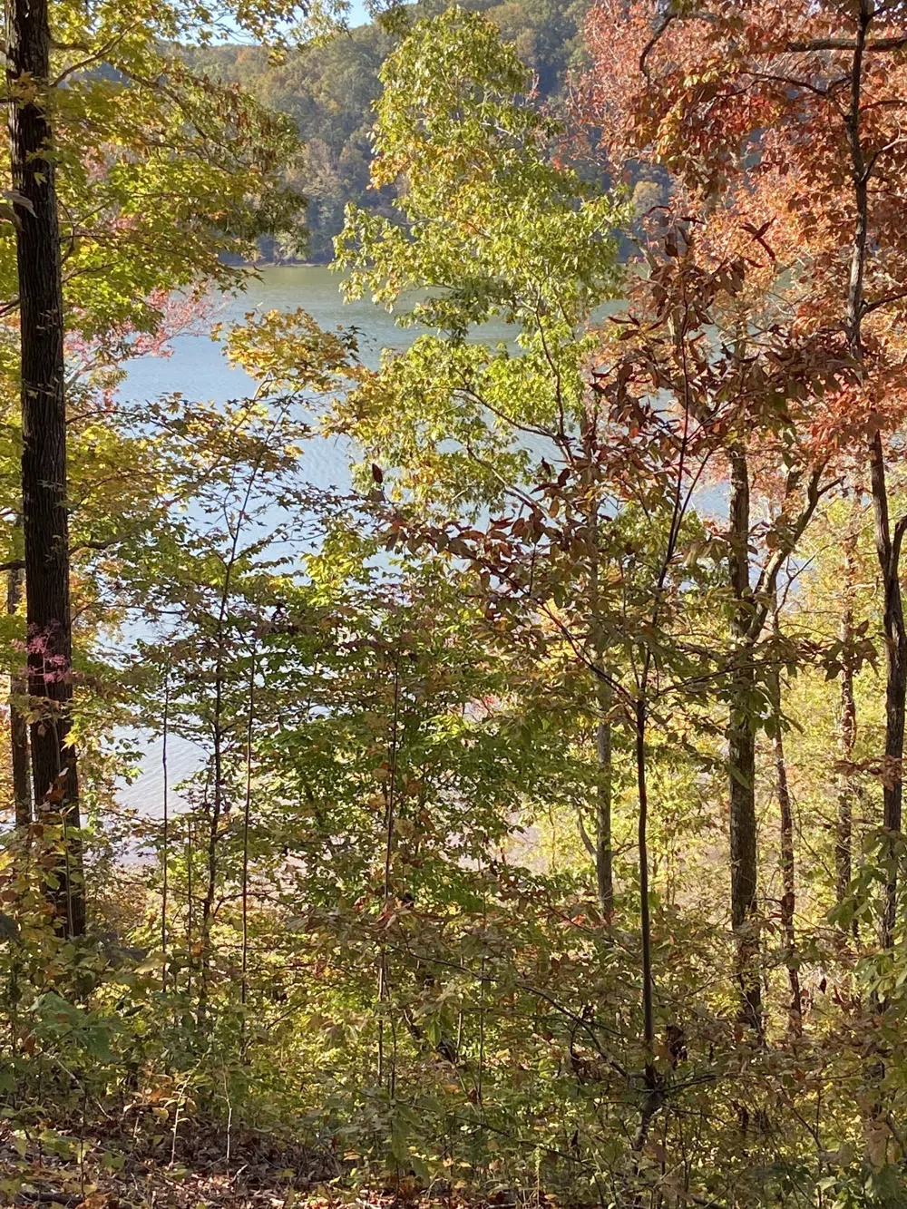 0 Hurricane Creek Road Stewart, TN 37175