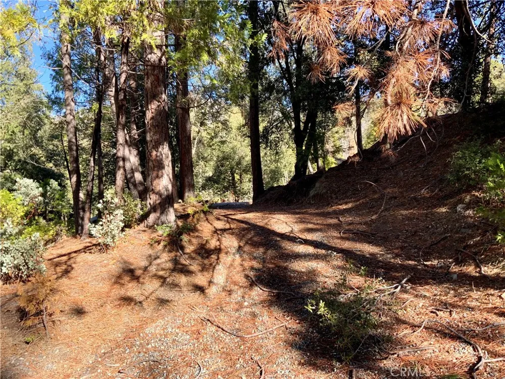 50963 Chu Ranch Road Oakhurst, CA 93644