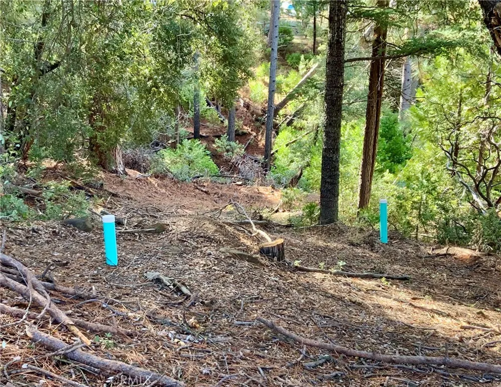 50963 Chu Ranch Road Oakhurst, CA 93644