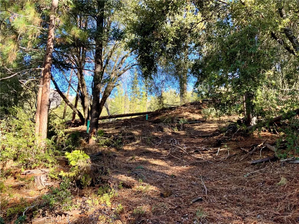 50963 Chu Ranch Road Oakhurst, CA 93644