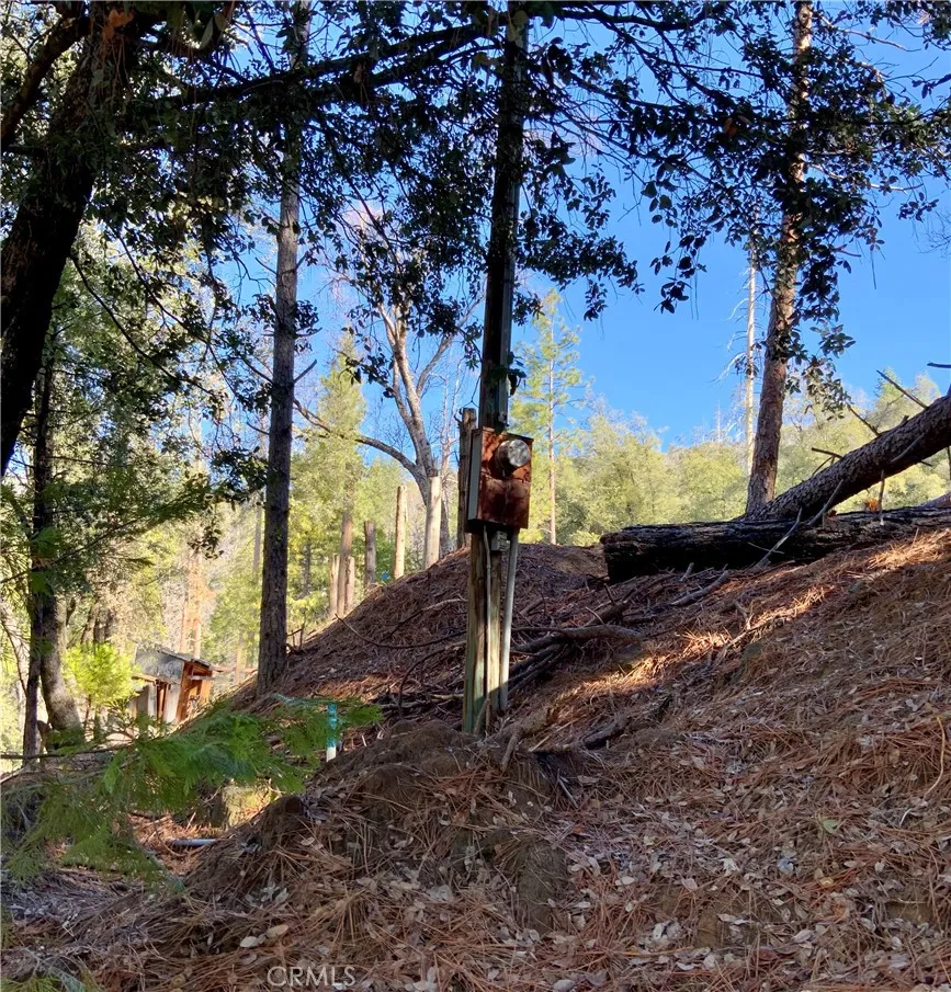50963 Chu Ranch Road Oakhurst, CA 93644