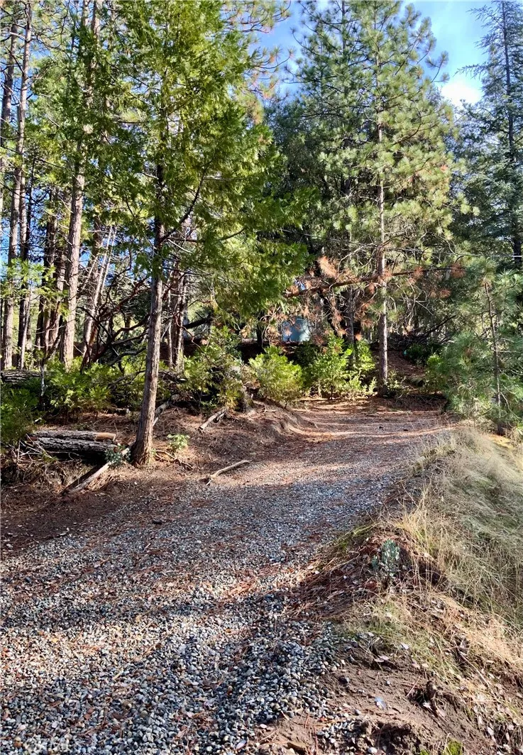 50963 Chu Ranch Road Oakhurst, CA 93644