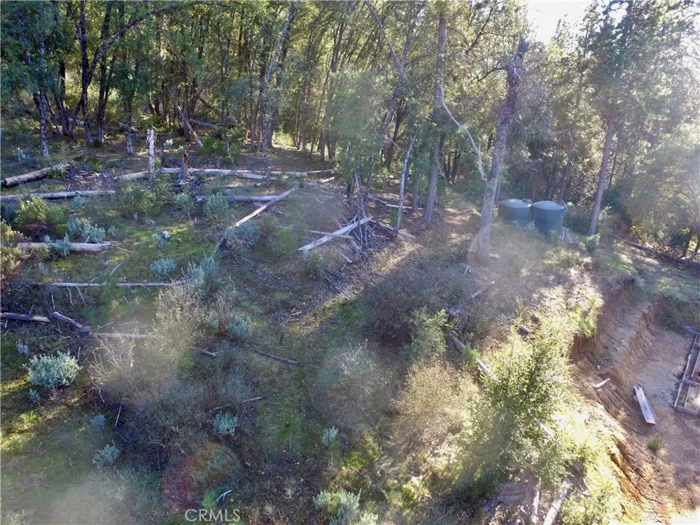 50963 Chu Ranch Road Oakhurst, CA 93644