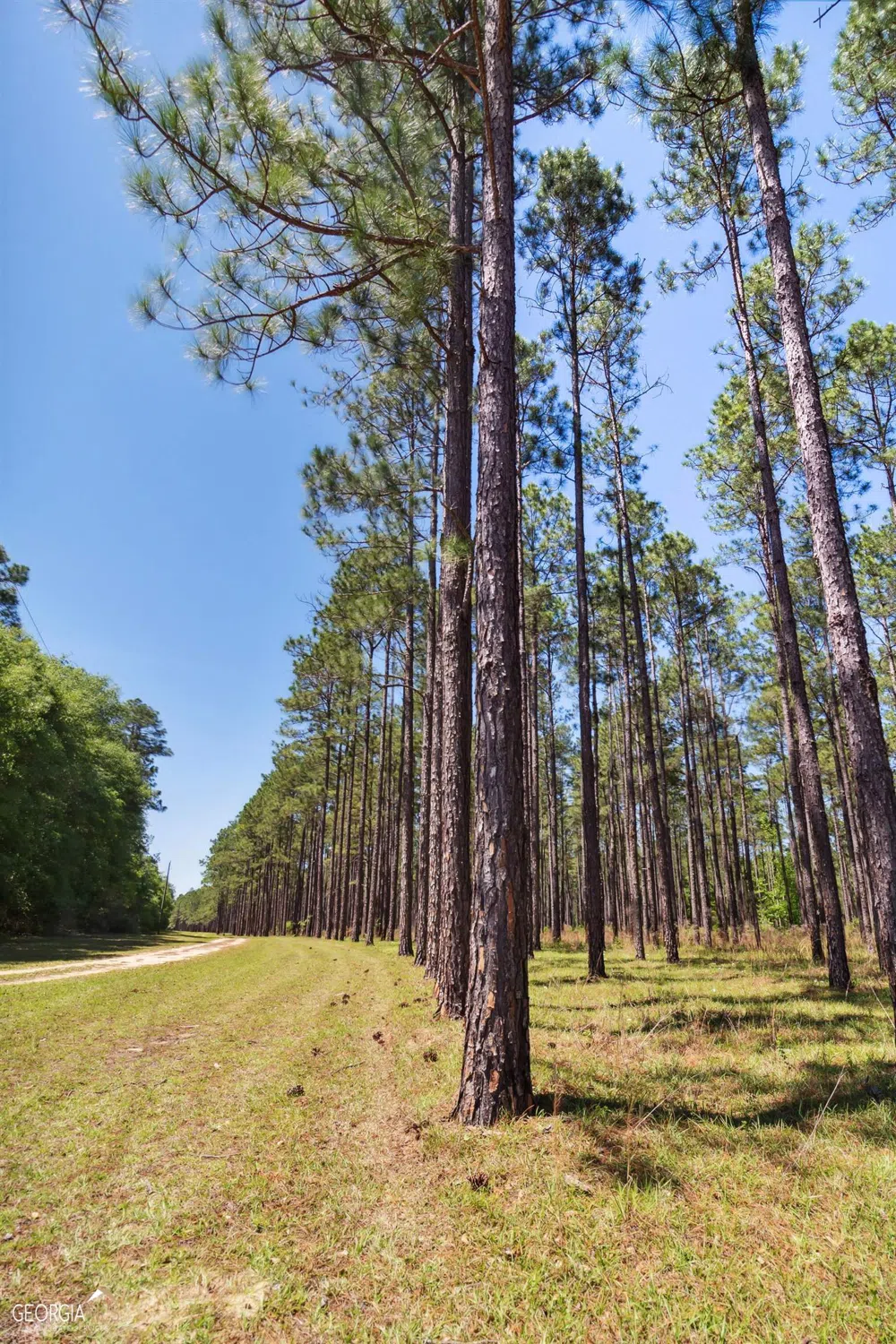 16299 Ga Hwy 46 Soperton, GA 30457