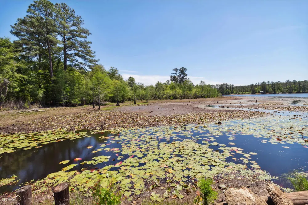 16299 Ga Hwy 46 Soperton, GA 30457